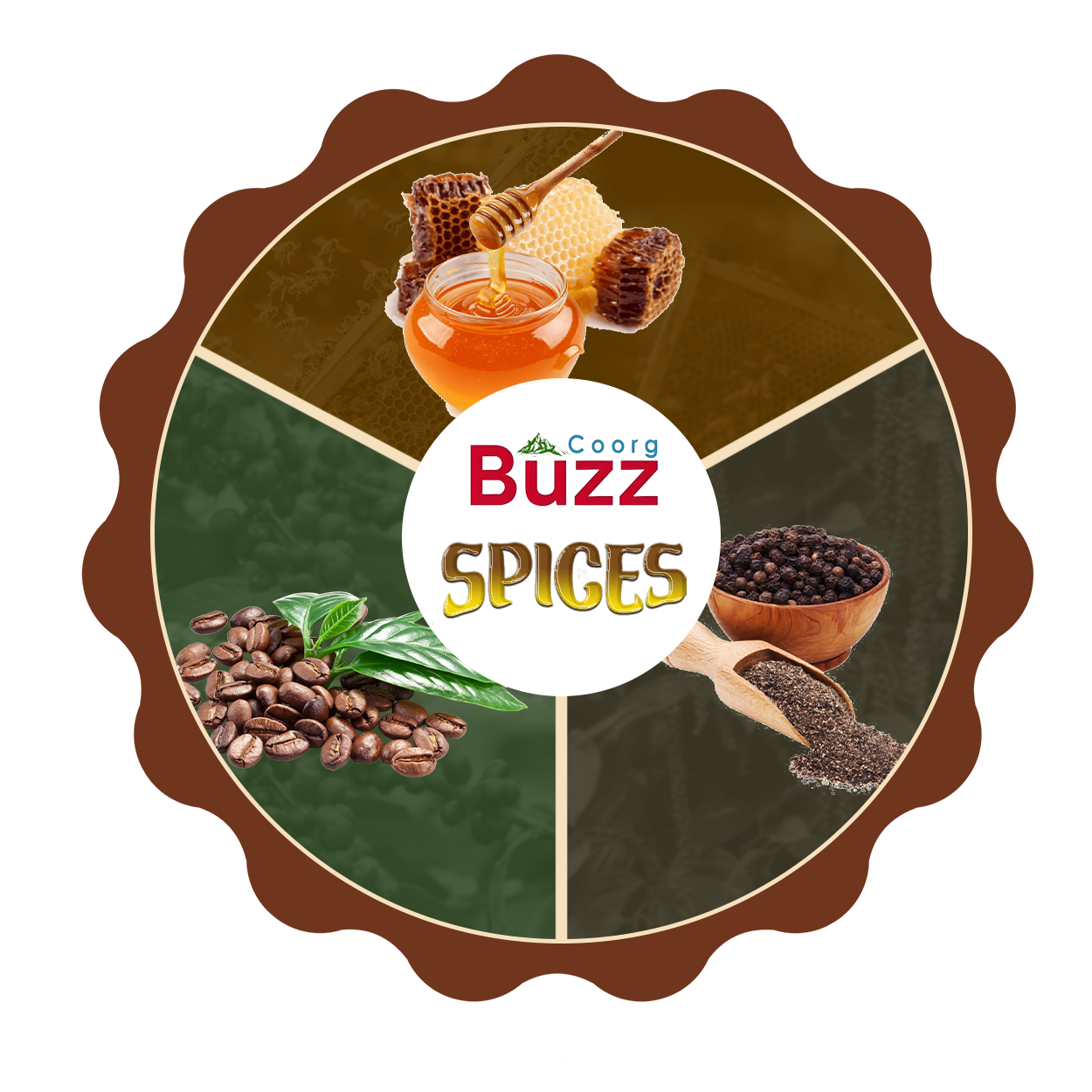 coorg buzz spices