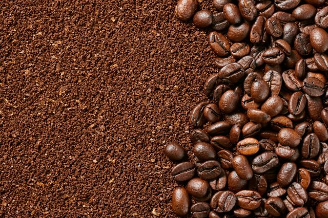 coorg filter coffee powder